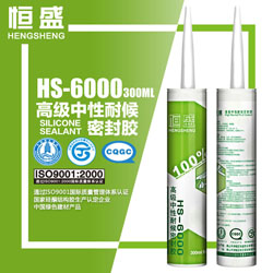 恒盛硅酮耐候密封胶HS-6000